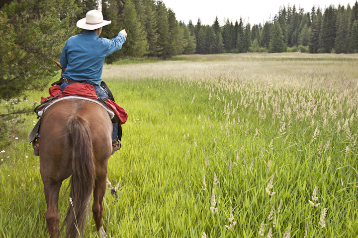 Parker points across one of the Swan's many wet, grassy meadows to another former parcel of Plum Creek land that's been transferred to the Flathead National Forest. Photo by Jason D.B. Kauffman.