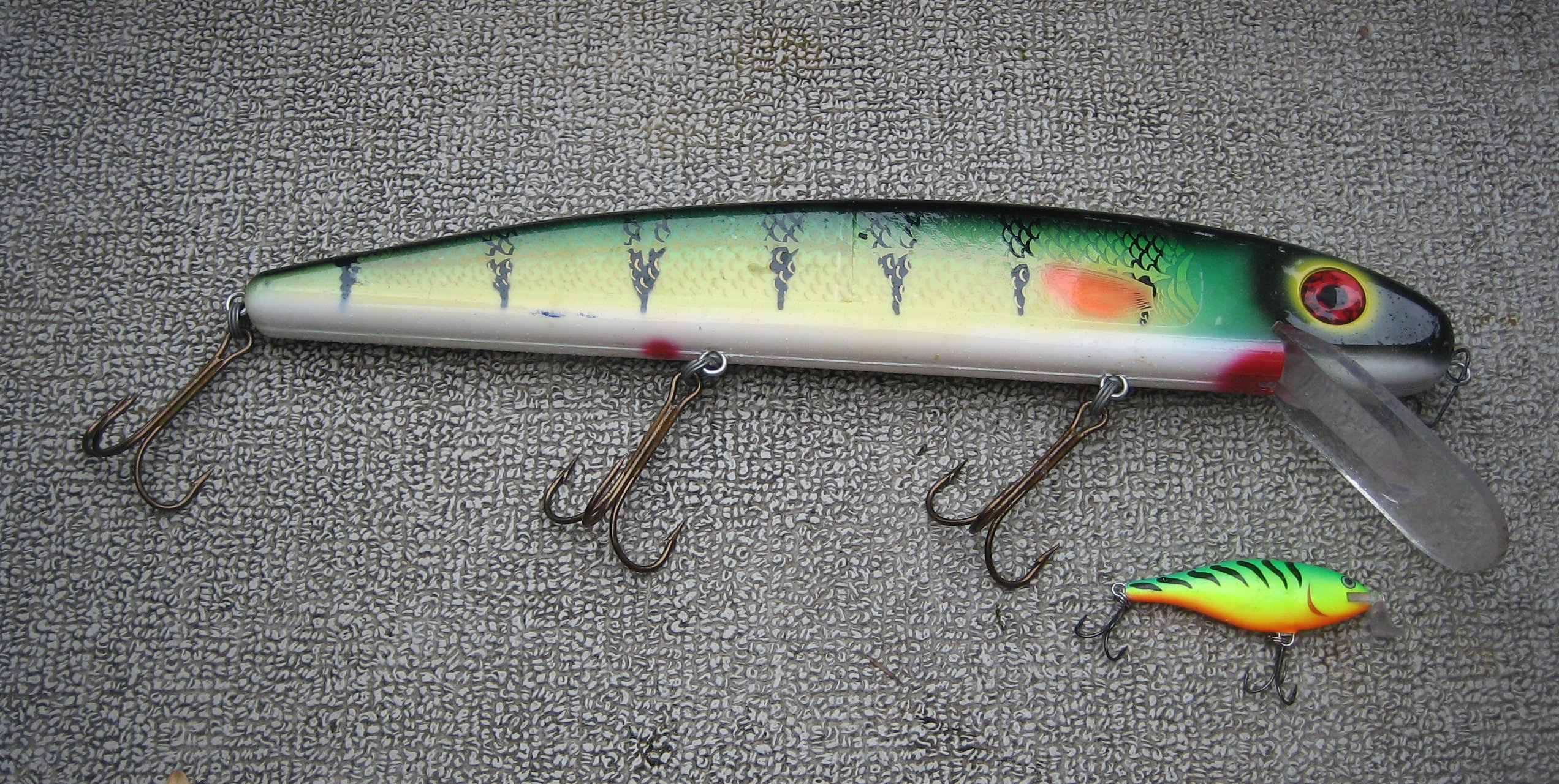 Muskie Hunting for Beginners New West